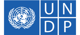 UNDP logo